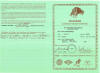 Ahnentafel, Registration for Deutsch Drahthaar, German Versatile Gundog