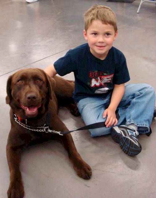 happy owner with his obedient chocolate labrador retriever