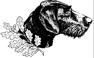 Verein Deutsch-Drahthaar e.V.