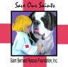 Saint Bernard Rescue